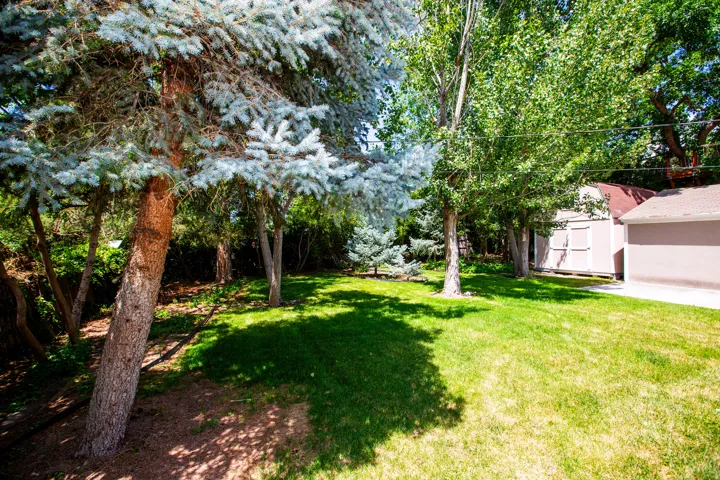 Expansive green lawn with mature trees providing partial shade