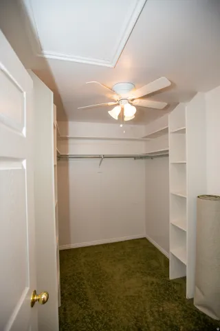 Primary bedroom walk-in closet featuring built-in shelving, hanging rods, ceiling fan with integrated lighting, and green patterned carpeting