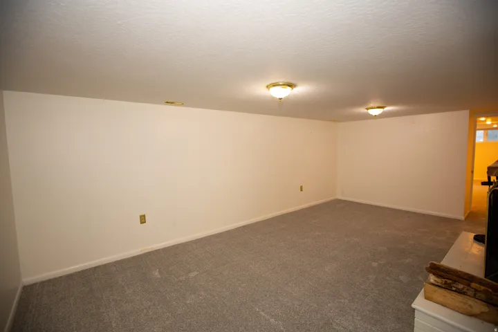 Spacious room featuring neutral carpeting, light-toned walls, and flush-mount ceiling lighting
