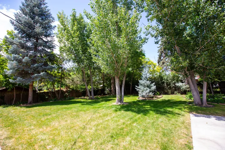 Spacious lawn area framed by mature deciduous and evergreen trees