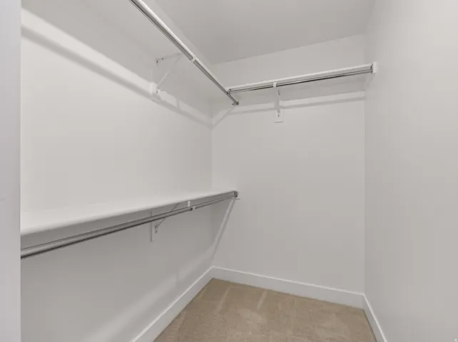 Master closet 1