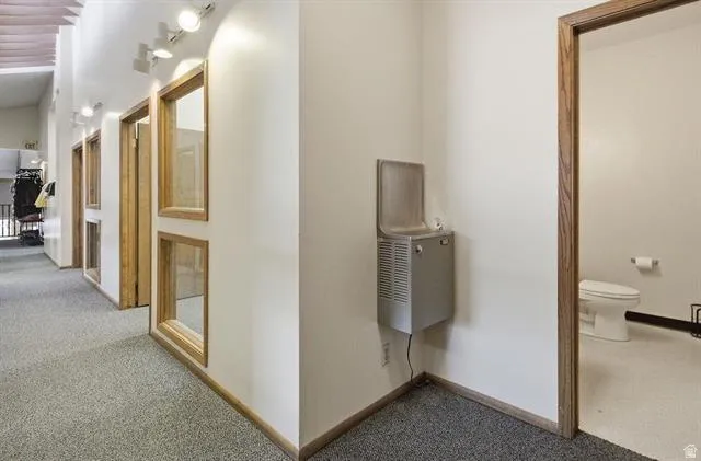 Hallway with carpet flooring and track lighting