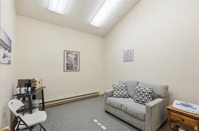 Vaulted ceiling room with textured carpet flooring