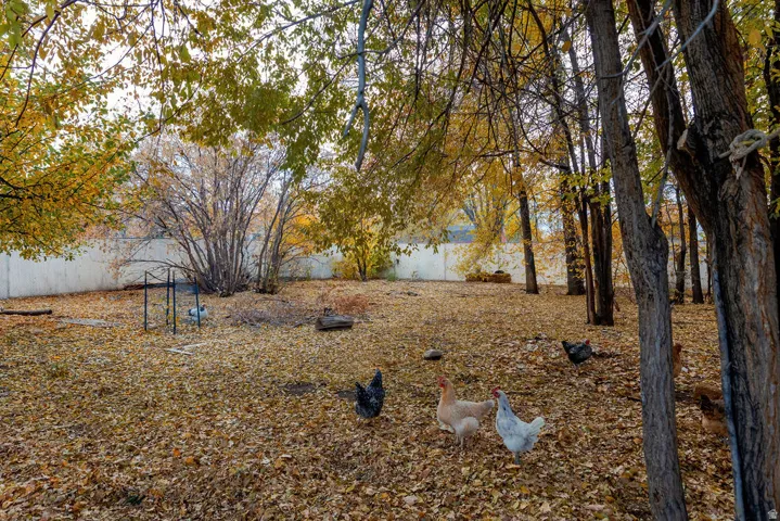 1757 N 1600 W, Mapleton, Utah 84664