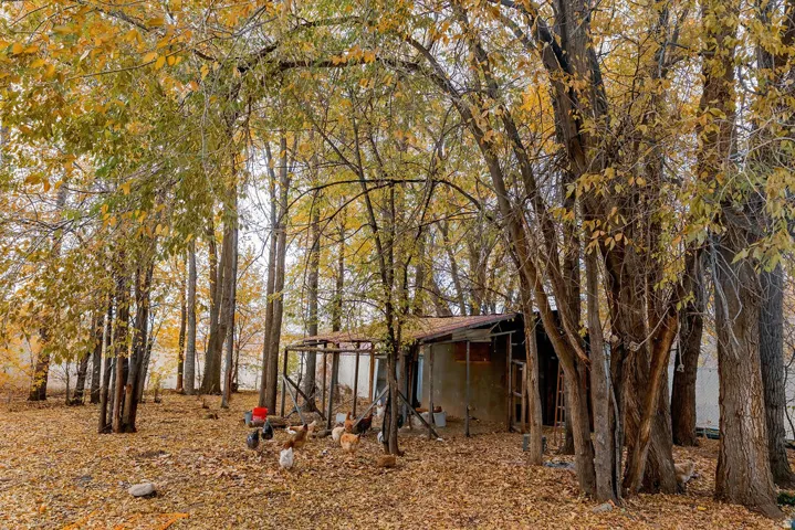 1757 N 1600 W, Mapleton, Utah 84664