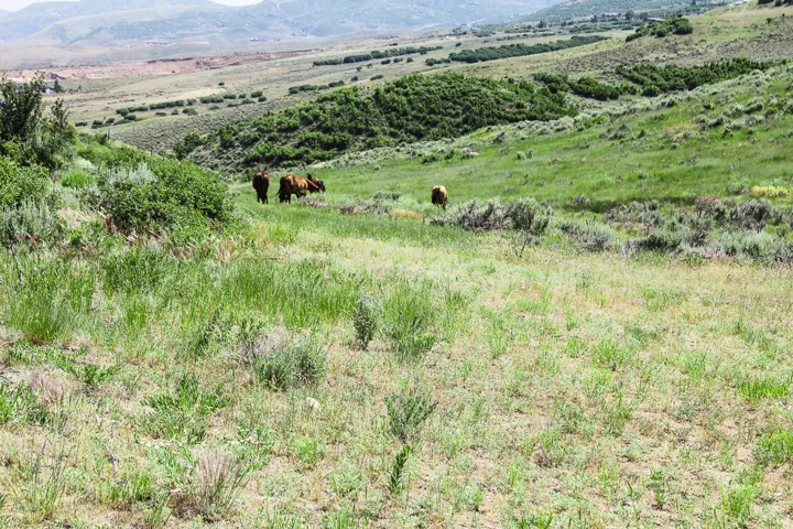 , Hoytsville, Utah 84017
