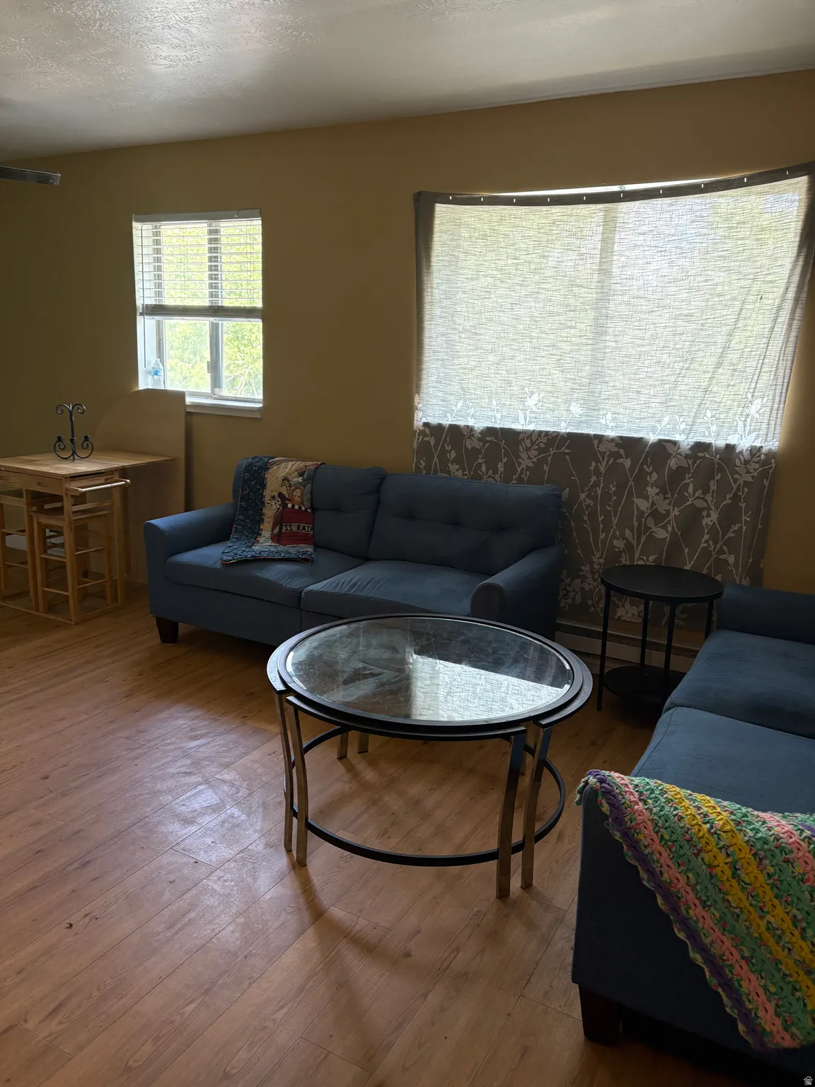 Living area featuring wood-finish flooring, neutral wall tones, and multiple windows with blinds