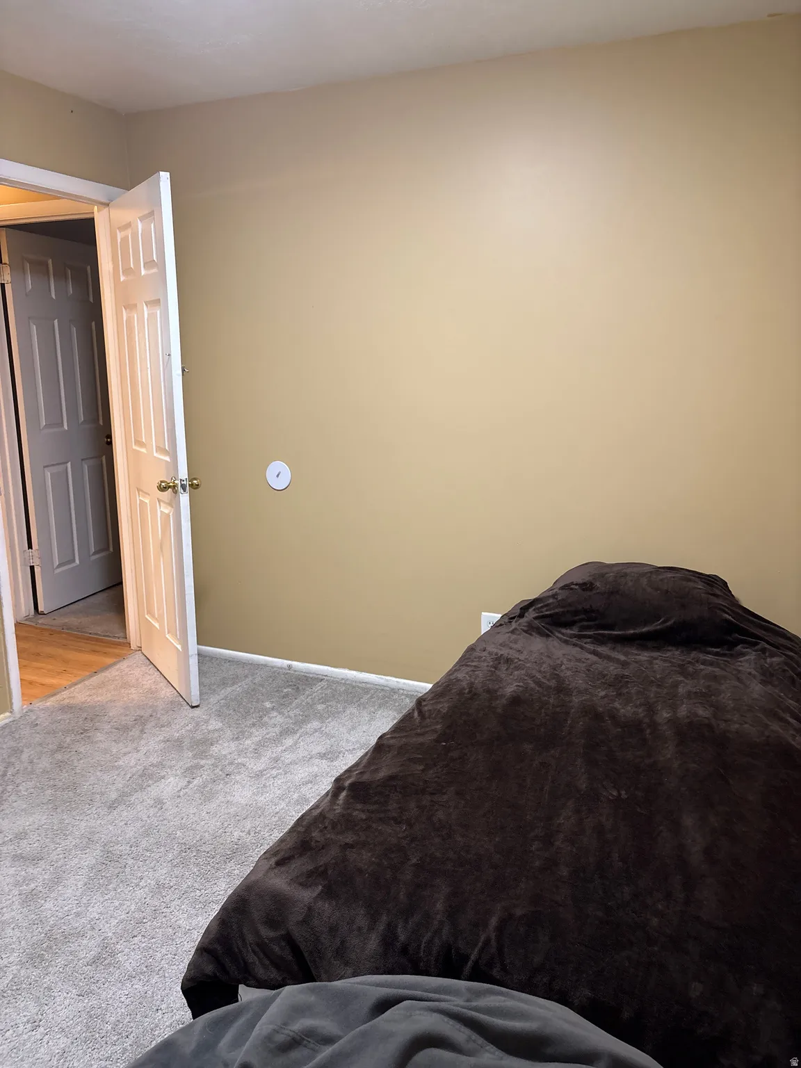 Neutral-toned interior wall with a white electrical outlet