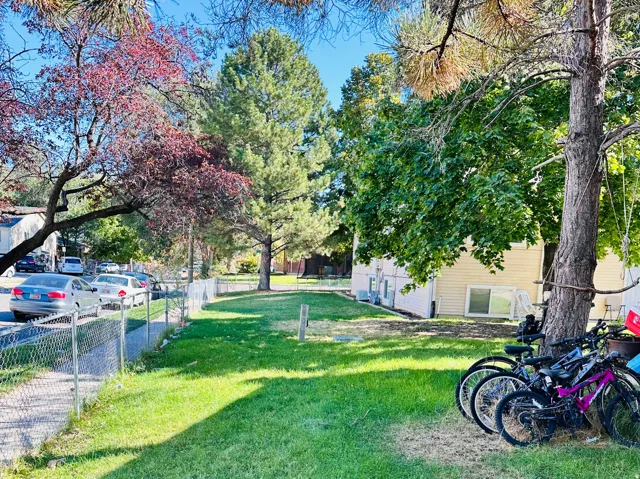 Expansive grassy yard area with mature trees and perimeter chain-link fencing