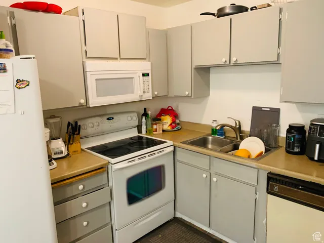 Kitchen featuring white appliances, a double basin stainless steel sink, and light gray cabinetry