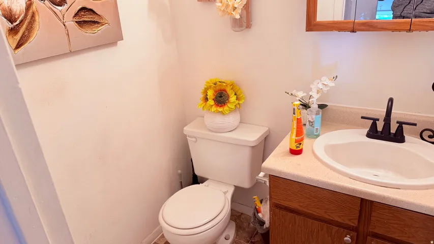 Bathroom vanity featuring a white oval sink, dark bronze faucet, and a light-toned countertop