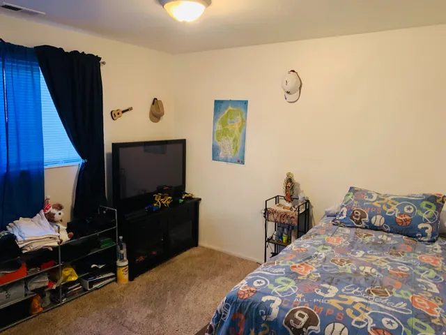 Carpeted room featuring a window with horizontal blinds and full-length curtains, a flush-mount ceiling light, and neutral wall tones
