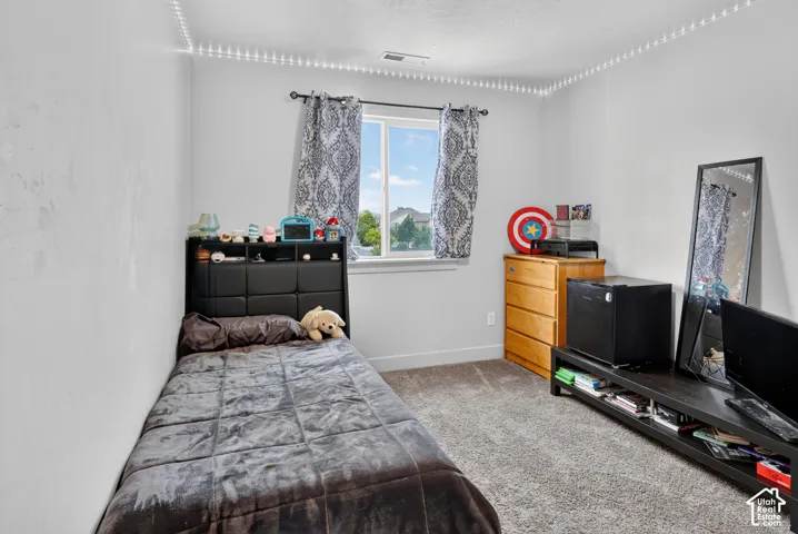 Light-filled room featuring a double-paned window, neutral wall paint, and gray carpet