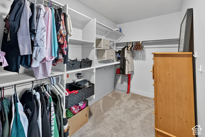 Walk-in closet featuring built-in white shelving, multiple hanging rods, and light gray carpet flooring
