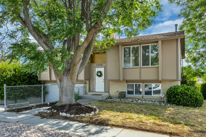 Split-level exterior featuring a mature shade tree, chain-link fencing, and a white front entry door