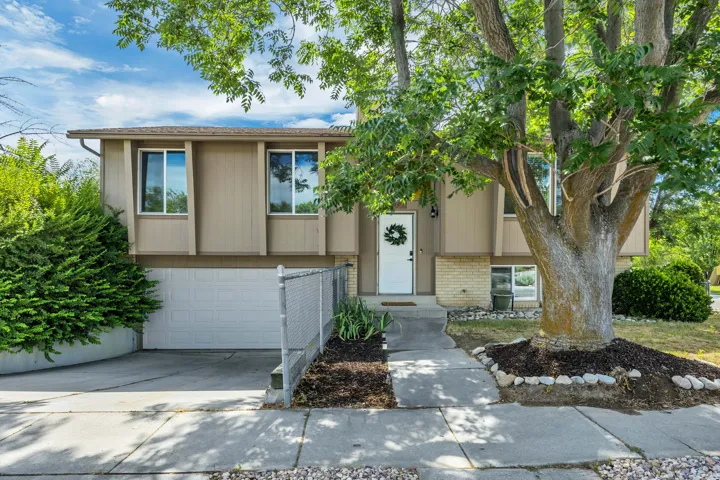 Split-level home featuring an attached garage, mature front yard tree, and an entry pathway