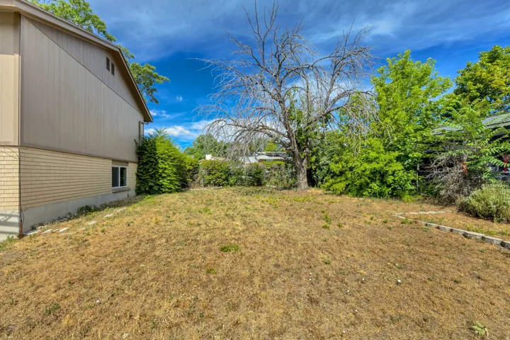 Expansive outdoor area with a sloped grade, featuring mature trees and established perimeter plantings