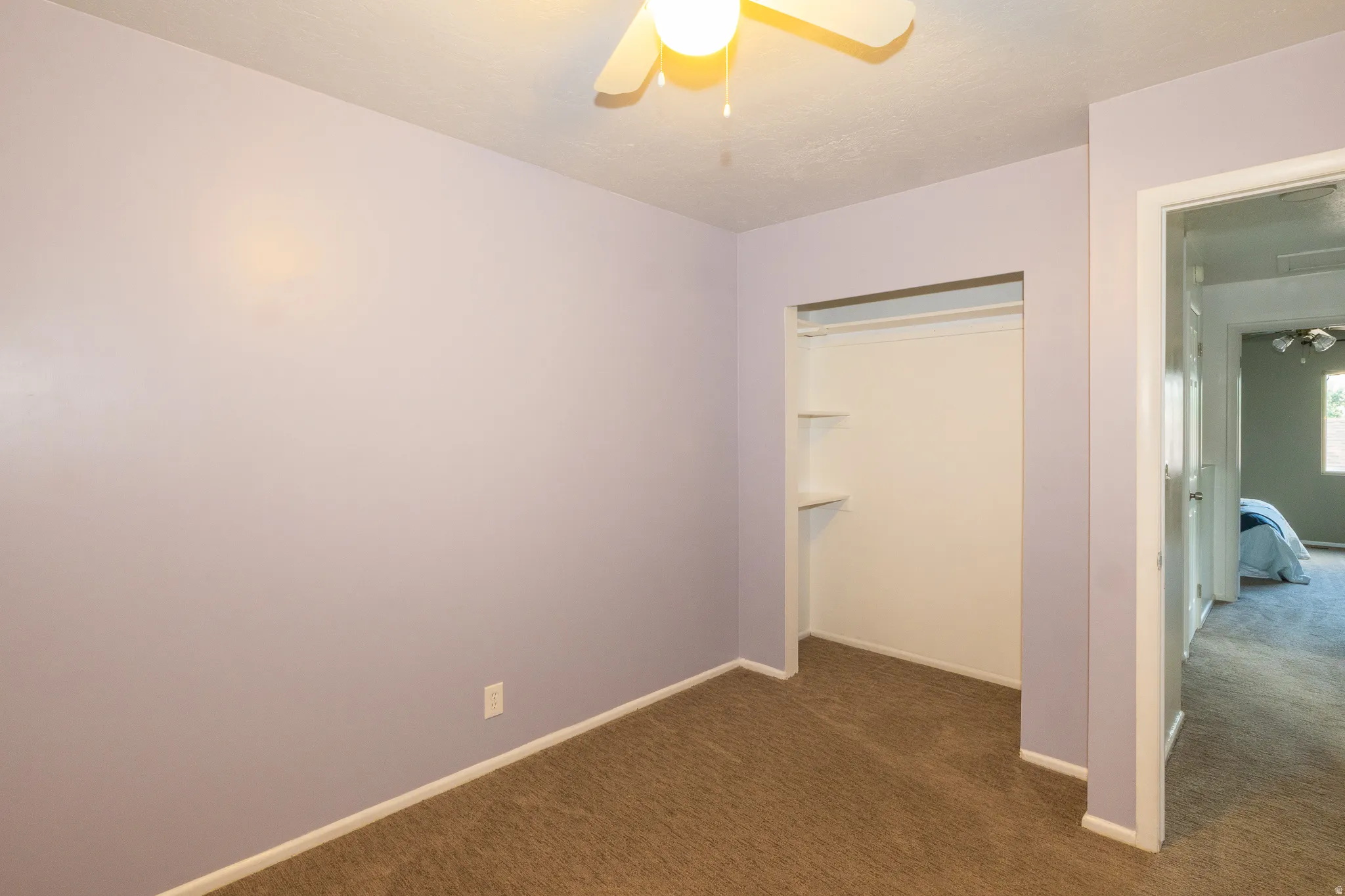 Carpeted room with lavender walls featuring a ceiling fan, baseboard molding, and an open closet with shelving