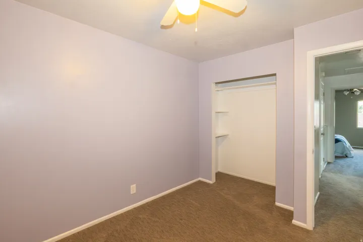 Carpeted room with lavender walls featuring a ceiling fan, baseboard molding, and an open closet with shelving