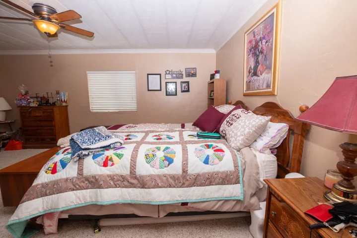 Bedroom featuring light-colored walls and carpet flooring