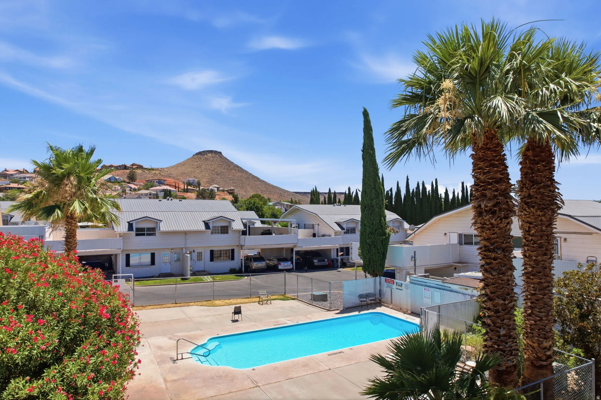 Outdoor swimming pool with concrete decking, surrounded by mature palm trees and flowering shrubs