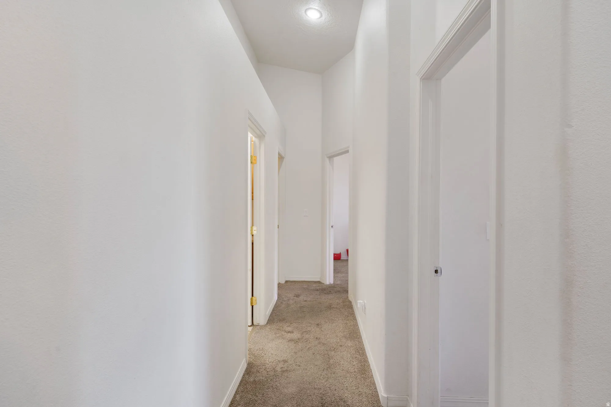Hallway featuring neutral-toned carpet flooring, recessed ceiling lighting, and multiple doorways