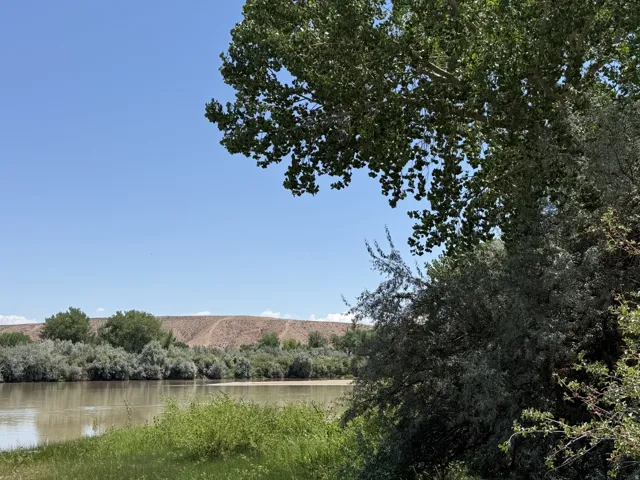 Riverside setting featuring mature trees, natural vegetation, a wide river, distant hills, and a clear blue sky