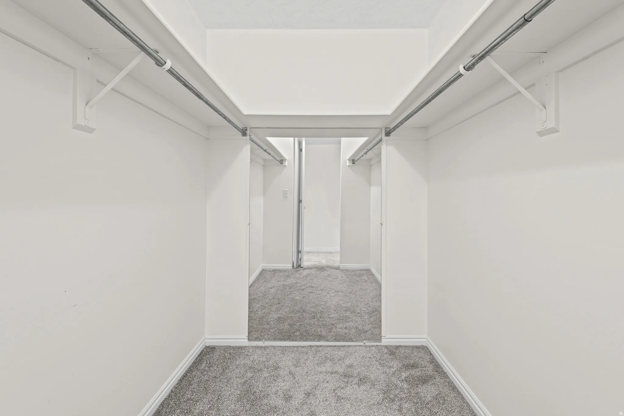 Walk-in closet featuring carpet flooring and white walls