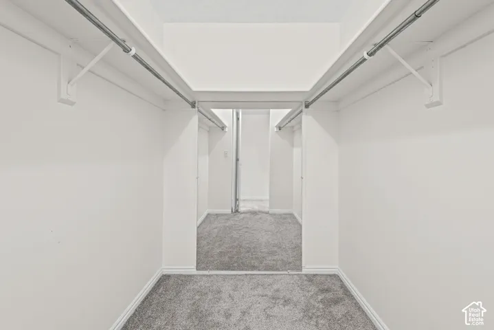 Walk-in closet featuring carpet flooring and white walls