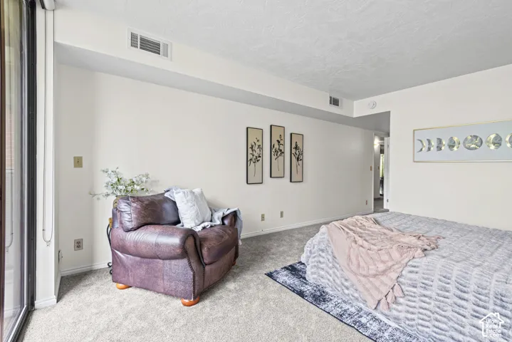 Carpeted room with light-toned walls and white trim
