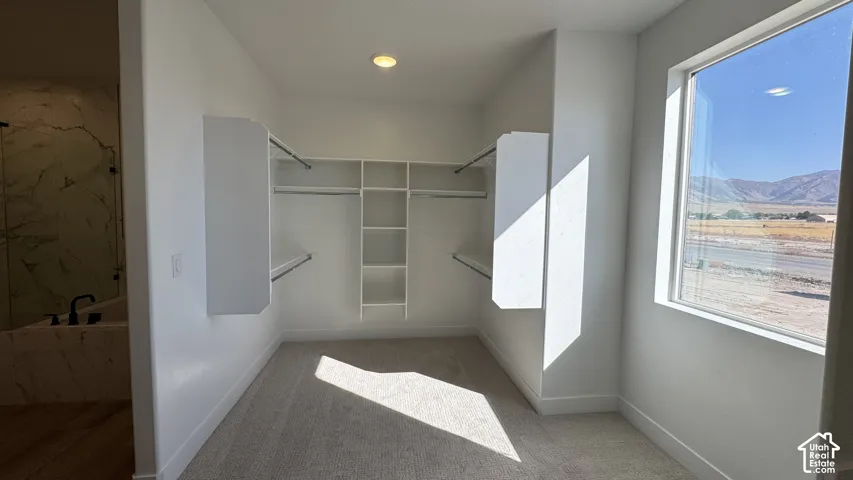 Built-in closet shelving system with hanging rods, recessed ceiling lighting, and a window providing natural light