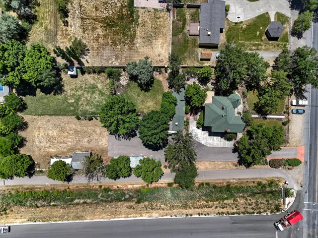 Residential property featuring a green-shingled roof, multiple mature trees, and an asphalt driveway
