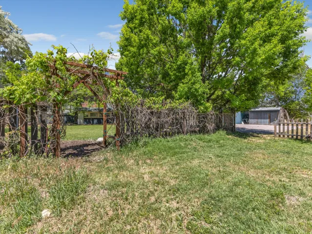 Wood arbor with vibrant green foliage, mature trees, and a wooden fence