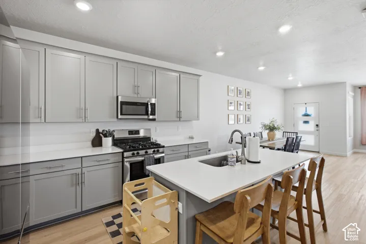 Modern kitchen featuring light gray cabinetry, stainless steel appliances, a center island with sink, and light wood-finish flooring