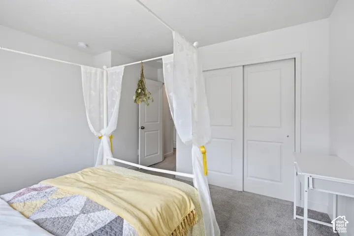 Bedroom featuring light gray walls, gray carpet flooring, and a white bi-fold closet door