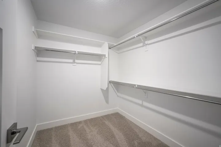 Walk-in closet featuring white walls, white shelving, metal hanging rods, and neutral-toned carpet flooring