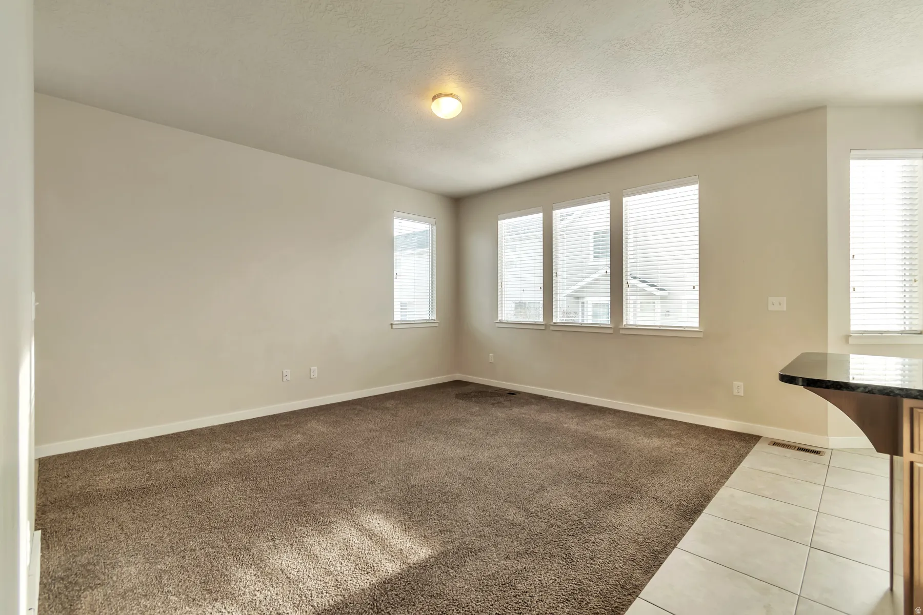 Open-concept living area with neutral-toned walls, brown carpet flooring, and multiple windows with blinds