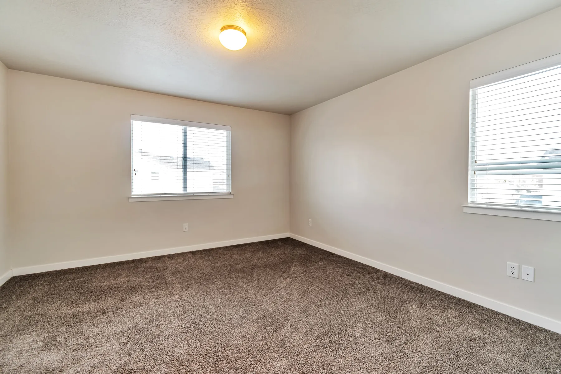 Spacious room featuring neutral carpeting, two windows with blinds, a ceiling-mounted light fixture, and light-toned wall paint