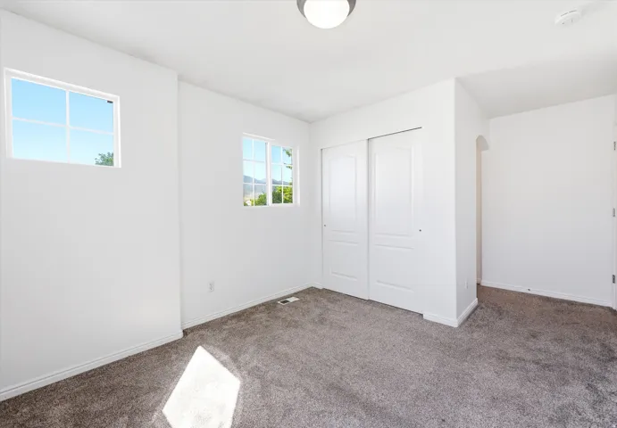Interior room featuring two windows, neutral carpeting, white walls, and a ceiling-mounted light fixture