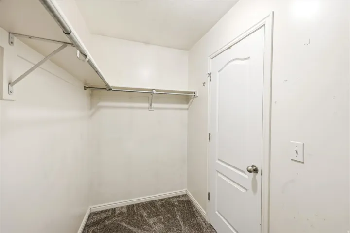 Walk-in closet featuring carpet flooring, white walls, and a white interior door with a brushed nickel knob