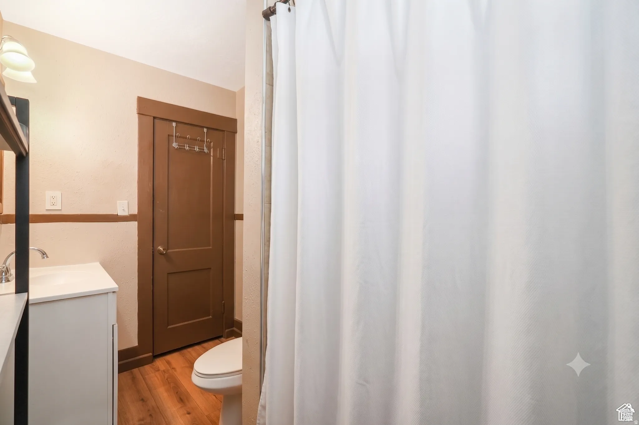Bathroom featuring wood-finish flooring and a white vanity with an integrated sink