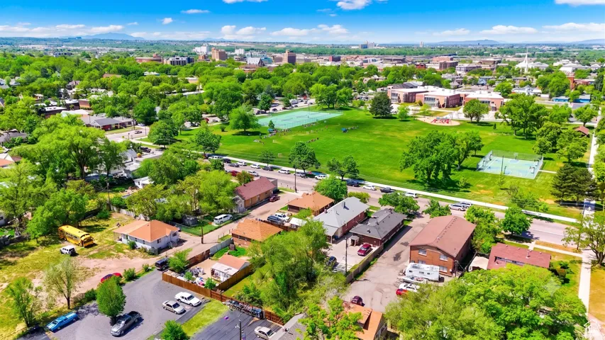 Aerial perspective showcasing a verdant neighborhood with mature trees
