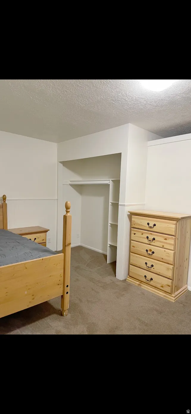 Recessed closet with integrated shelving, painted white walls, and neutral carpet flooring