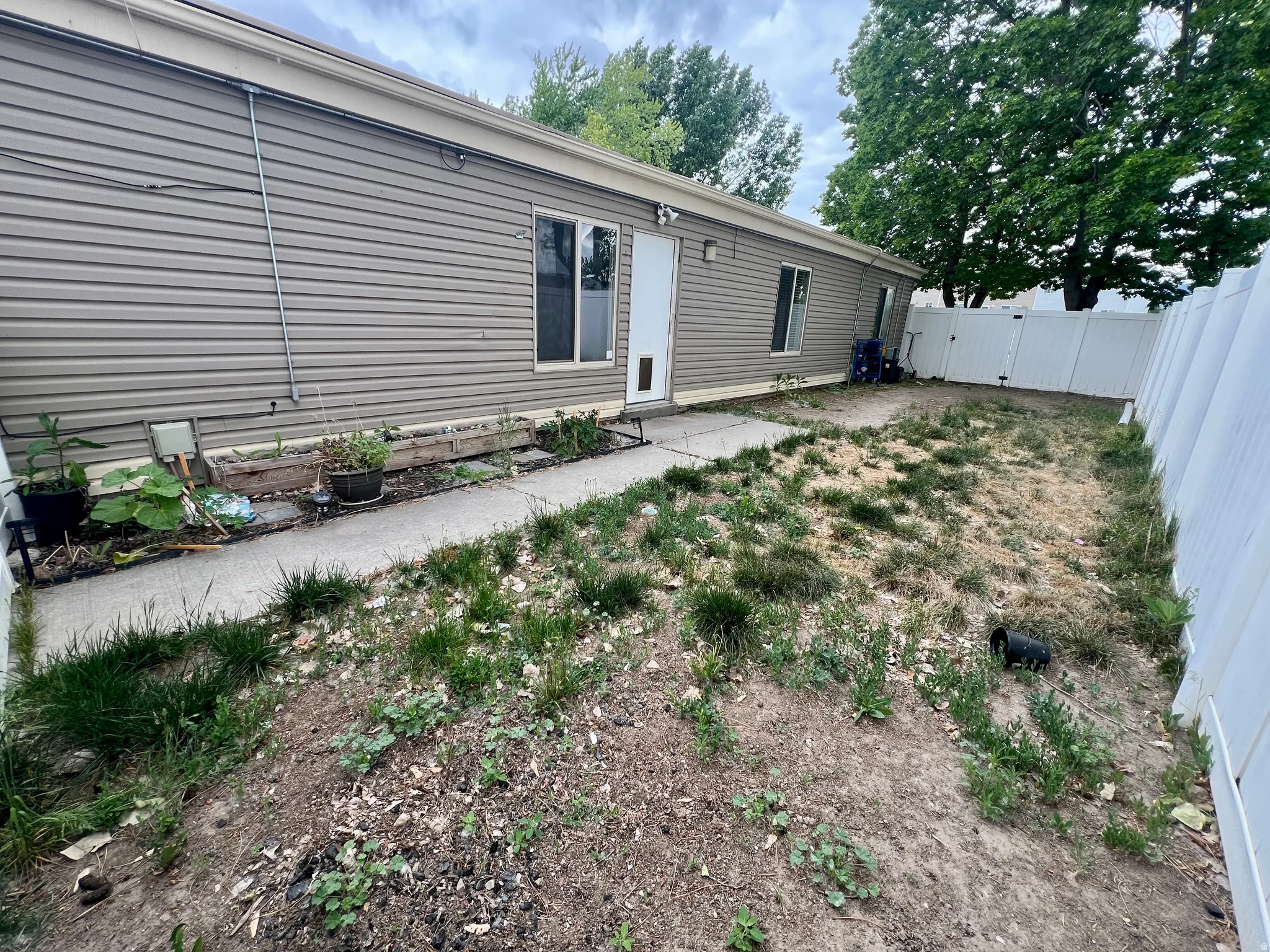 Exterior vinyl siding with multiple windows and a white privacy fence