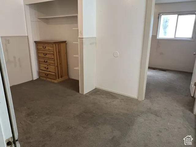 Carpeted room featuring a built-in closet with shelving and a window providing natural light