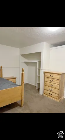 Recessed closet with integrated shelving, painted white walls, and neutral carpet flooring