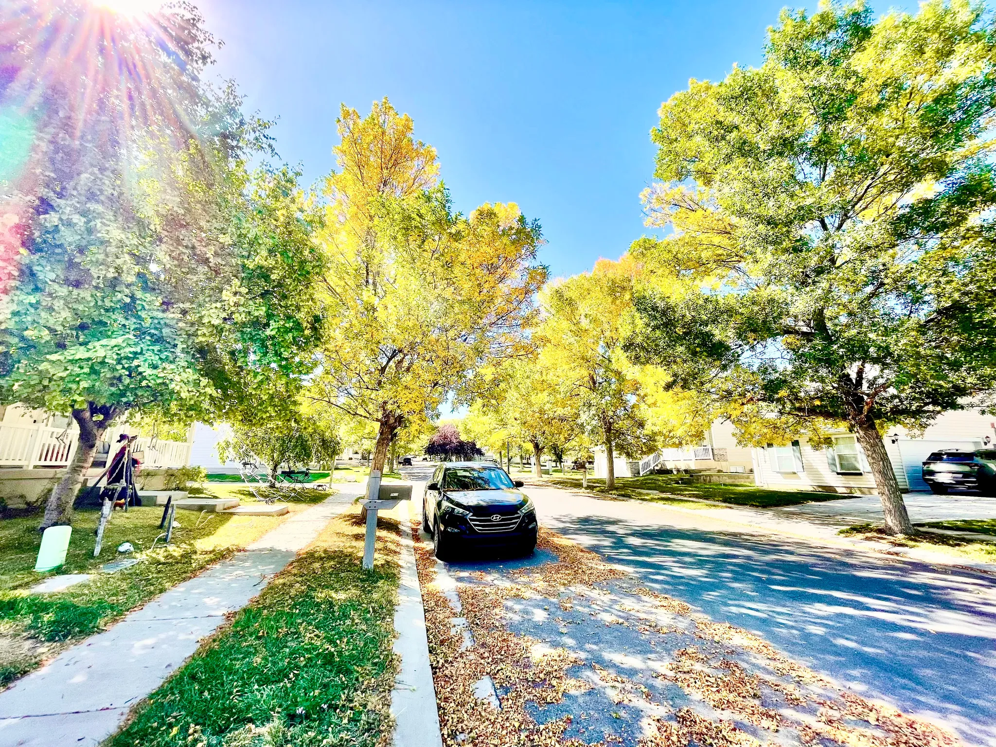Tree-lined street with mature foliage and vibrant autumnal colors, featuring a concrete sidewalk and curb parking