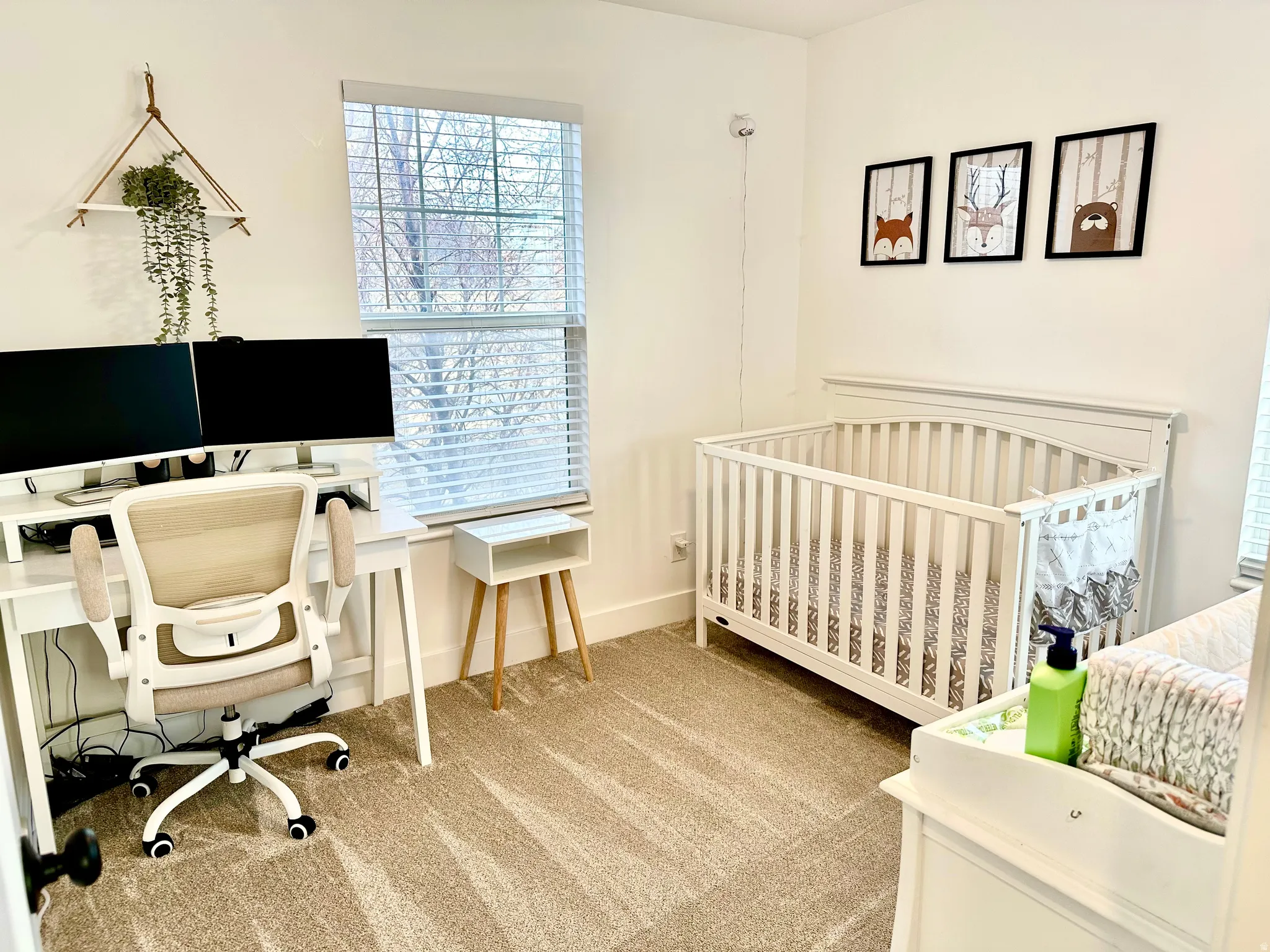 Neutral wall paint with carpet flooring