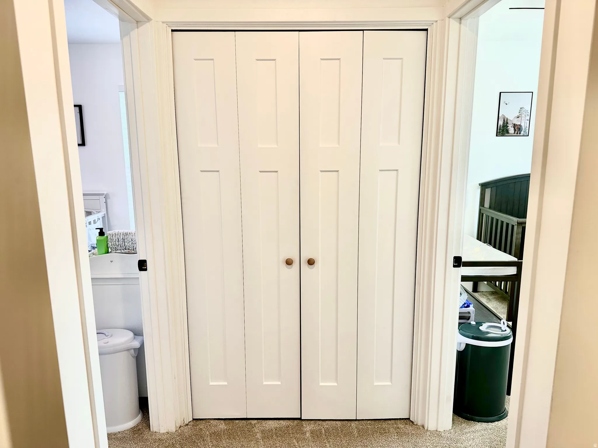 White bi-fold closet doors with round wooden knobs centered in a carpeted hallway