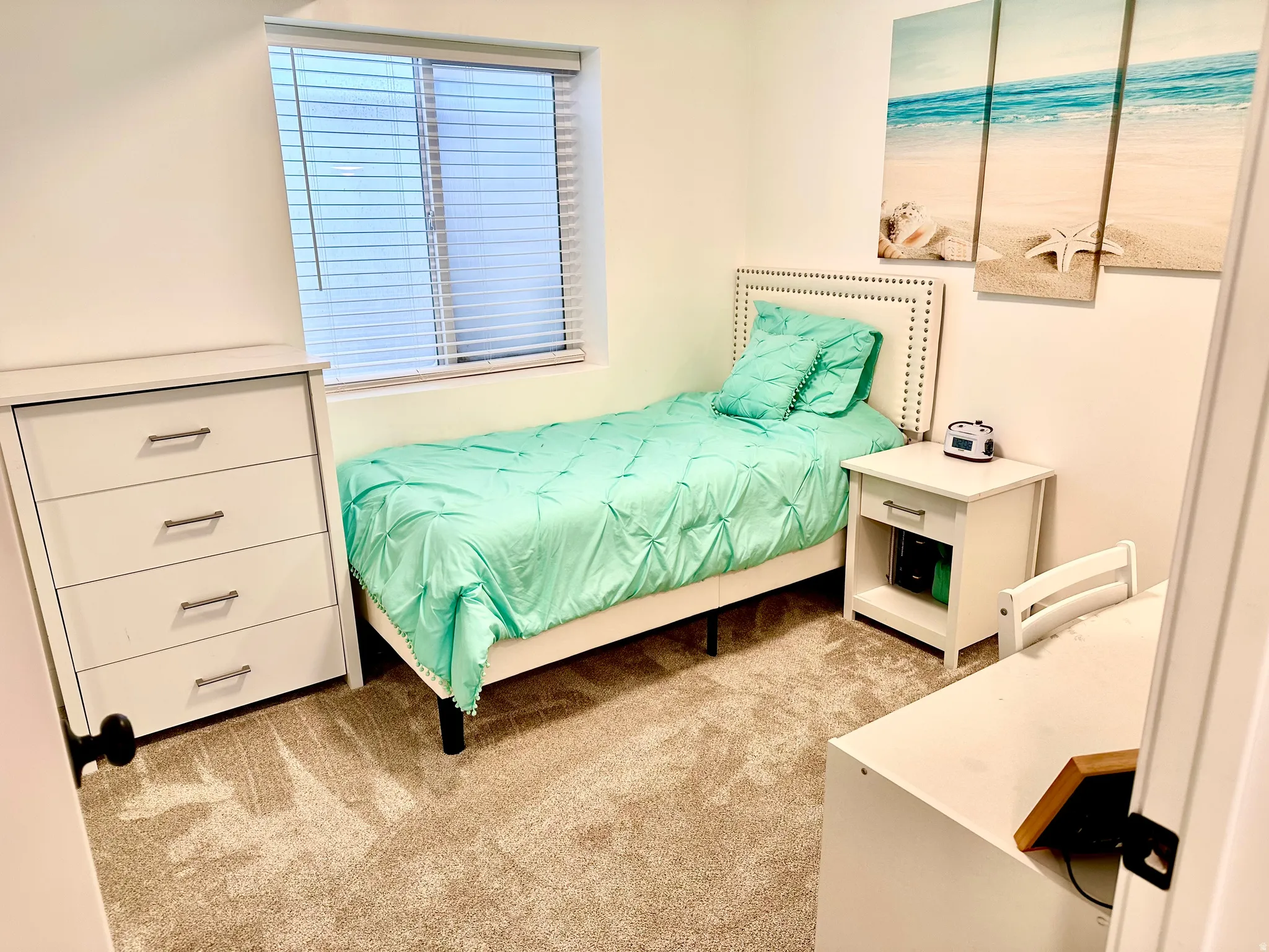 Carpeted interior space featuring a window with horizontal blinds, light-colored walls, and a built-in closet with a black knob